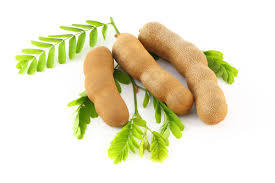 Organic Tamarind