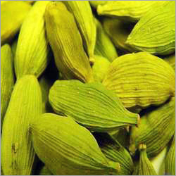 Green Cardamom
