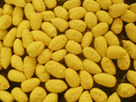Erode Turmeric Bulbs