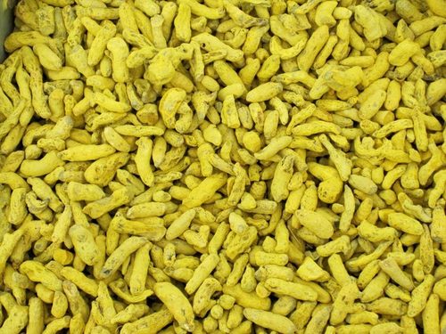 Turmeric Bits