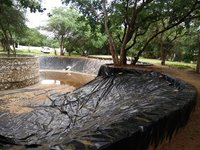 Ldpe Films Application: Agriculture