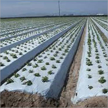 Mulch Film Mulch Film