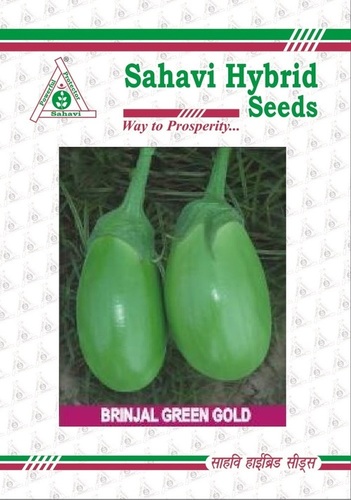 Brinjal Green Gold