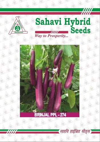 Brinjal PPL -274