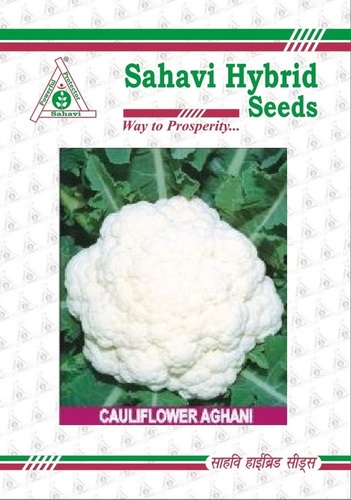 Cauliflower Aghani