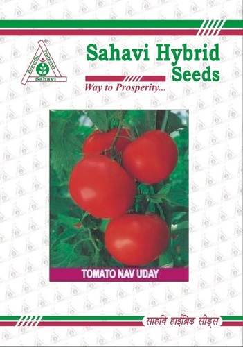 Tomato Nav Uday