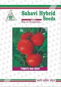 Tomato Nav Uday