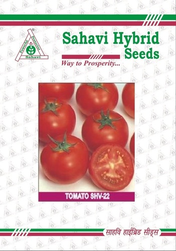Tomato SHV-22