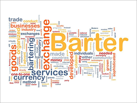 About BIZpaye Franchising