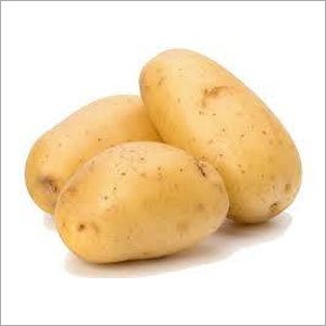 Fresh Potatoes