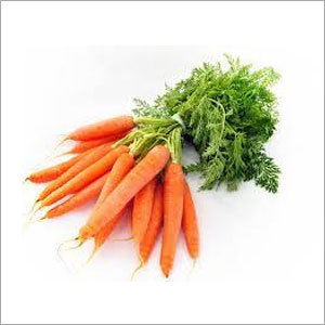 Fresh Orange Carrots