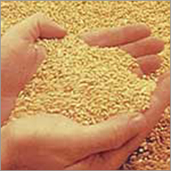 Poultry Feeds