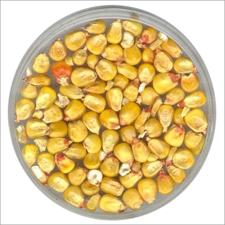 Hen Poultry Feed