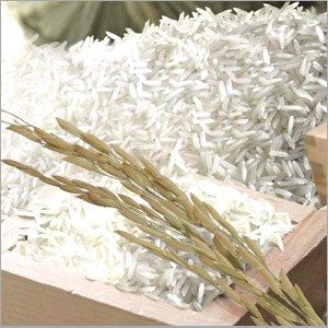 White Rice