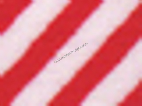 Reactive Red 24 Dyes