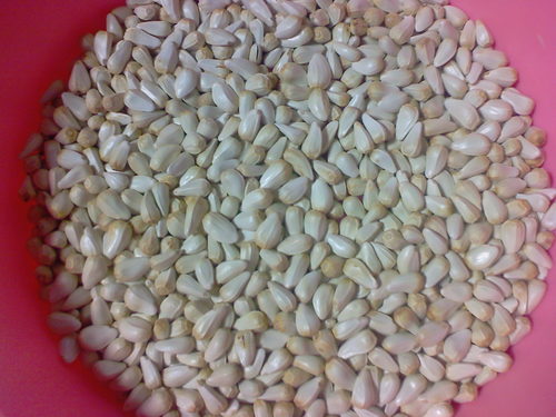 Safflower Seeds
