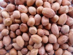 Groundnut Oil Seeds