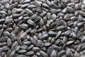 Sunflower Seeds