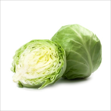 Fresh Green Cabbage
