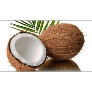 Fresh Coconut - Brown Fibrous Shell, White Flesh | Fresh, Nutritious, Hydrating, Long Shelf Life