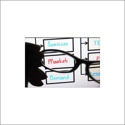 Feasibility Study Consulting