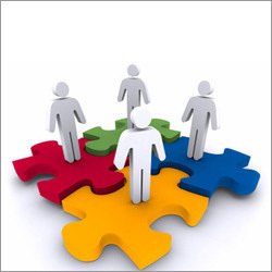 Consumer Research Services