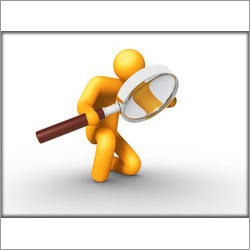 Mystery Shopping Services