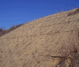 Jute Made Geo