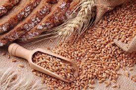 Organic Grain