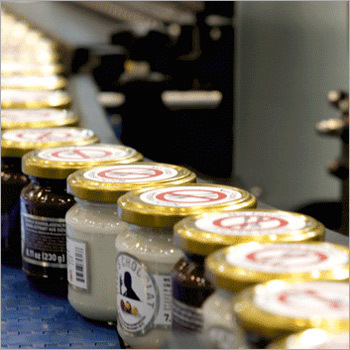 Food Processing Machinery Equipment