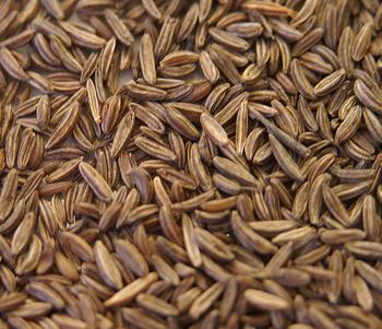 caraway, jeera beej, shahajira