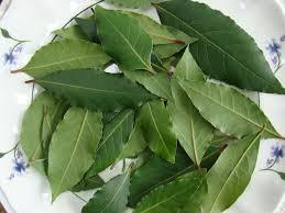 Bay leaf, tejpatta, kadipatta