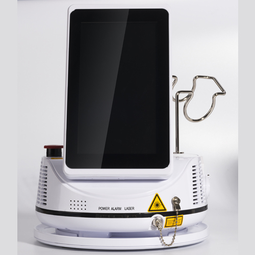 High Power Deep Therapy Laser