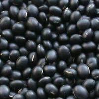 Black Matpe
