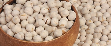 White Chickpeas