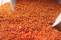 Red Lentil