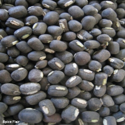 Black Gram