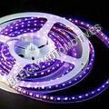 LED STRIP LIGHTS 12V/24V