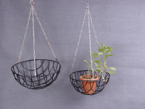Hanging Basket