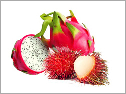 Dragon Fruit