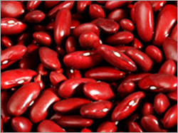 Kidney Beans