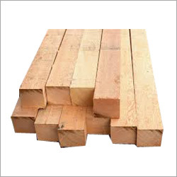 Indian Sal Wood