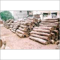 Indian Sal Wood Timber