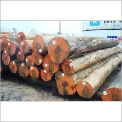Indian Teak Wood Timber