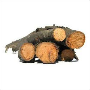 Indian Timber Wood Log