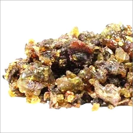 Gum Guggul