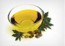 Castor Oil Pharma Grade