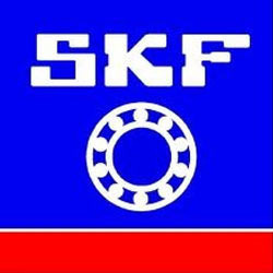SkF Bearing