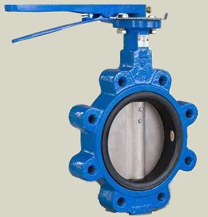 Lug butterfly valve