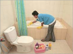 Cleaning Services